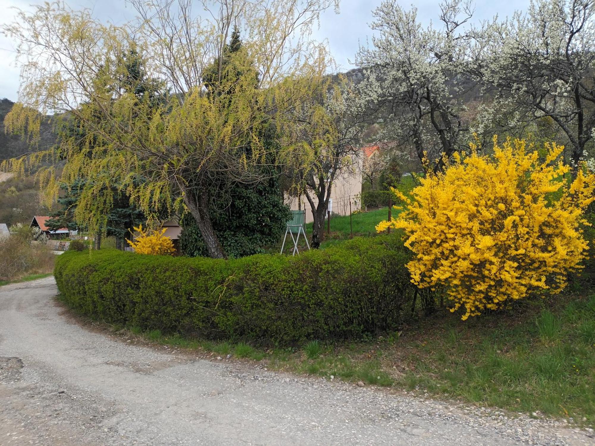Villa Evetes Jablonov nad Turnou المظهر الخارجي الصورة